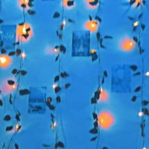 Meet your Posher, Robin